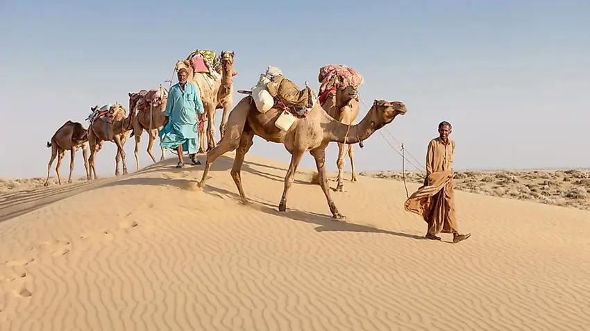 assets/images/tours/rajasthan-tour/2.webp